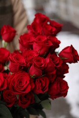 Obraz premium Bouquet of red roses