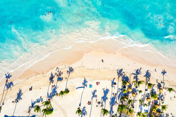 Aerial drone view of beautiful atlantic tropical beach with palms and straw umbrellas. Bavaro, Punta Cana, Dominican Republic. Vacation background.