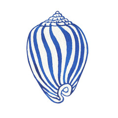 Illustrations of underwater life objects - blue sea shell, marine design. Watercolor hand drawn painting illustration isolated on white background.