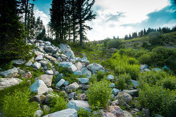 A beautiful summer day in medicine bow wyoming