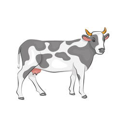 White cow with black spots with golden horns