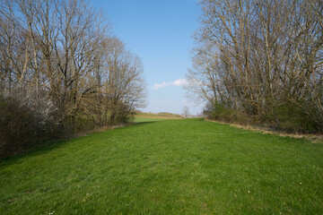 Green landscape on the schwäbische alp (swabian alp) in south germany