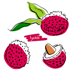 Lychee. Whole, half, seed, leaves. Colorful sketch collection of tropical fruits isolated on white background. Doodle hand drawn fruit icons. Vector illustration
