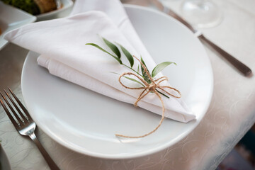 napkin on a white plate. elegant wedding decoration. green twig