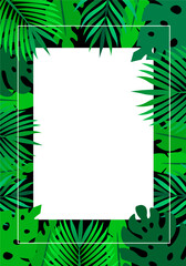 Vector tropical jungle dark frame