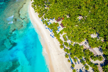 Fototapeta premium Aerial drone view of beautiful caribbean tropical island beach with palms. Saona, Dominican Republic. Vacation background.