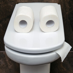 Funny toilet bowl that looks like a person face
