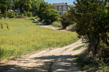 Rural walking path for tourists.