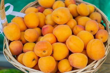 orange peaches in a wicker basket