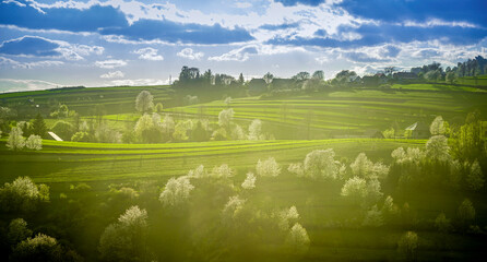 Spring Slovakia landscape. Nature fields with blooming cherries. Unique ecological land management. Polana region, Hrinova, Slovakia Europe. © Zedspider
