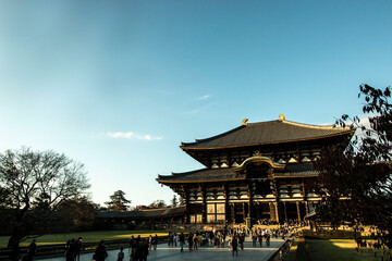 Fototapeta premium japanese temple