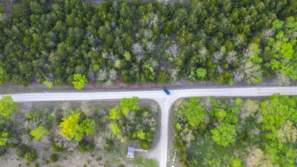 beautiful view of a forest from a drone