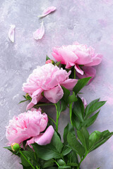 Three pink peonies on a decorative background