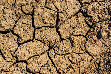 Background of the cracked dry barren soil. Global warming concept