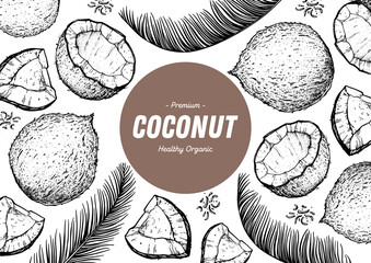Coconut design template. Hand drawn vector. Food illustration Engraved style. Vector botanical illustration, tropical background.