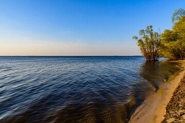 Trees growing on a bank of Kremenchug reservoir. Summer landscape