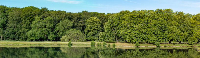 view on a lake with reflections of trees in the water