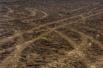 Plowed agricultural field at summer. Rural landscape