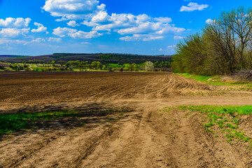 Fototapeta na wymiar Plowed agricultural field at summer. Rural landscape