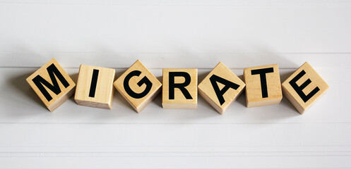 Migrate text written on wooden blocks and a light background.