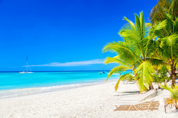Obraz na płótnie Canvas Beautiful tropical beach with sun loungers and palms. Saona Island, Dominican Republic. Caribbean resort. Vacation travel background.