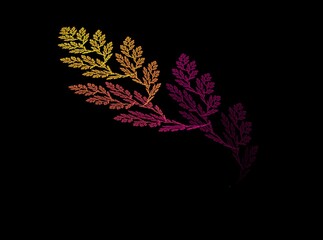 Creative element for your design as a colored fractal leaves on black background rendered by algorithm suitable for desktop wallpaper, tattoo sketch or for creative graphic design