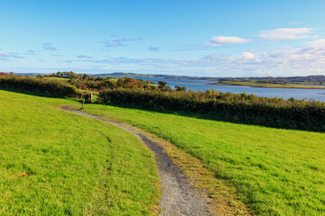 Sunny autumn delamont country park,Northern Ireland
