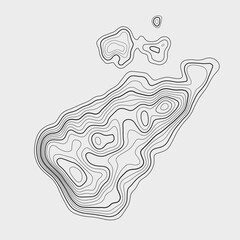 Topographic contour map on white background. Vector grid map.