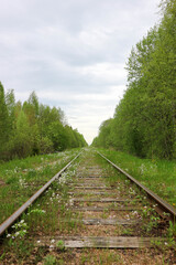 Fototapeta premium abandoned railway in the forest overgrown with small blue and white flowers