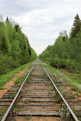Obraz premium abandoned railway in the forest overgrown with small blue and white flowers