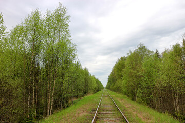 spring landscape with abandoned railway in the forest overgrown with grass and flowers