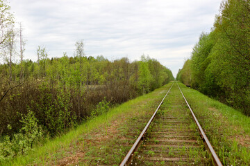 Fototapeta na wymiar spring landscape with abandoned railway in the forest overgrown with grass and flowers
