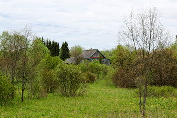 abandoned old wooden house in russian lost village