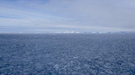 Fototapeta na wymiar Ice floes and icebergs at edge of pack ice in antarctic ocean, Antarctica