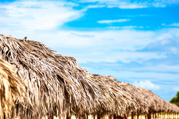 Fototapeta na wymiar Straw umbrellas on the beach in Varadero, Cuba. Vacation background