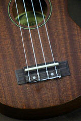 Obraz premium Ukelele