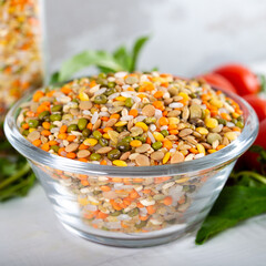 Colorful various beans or lentils and whole grains seeds or cereal in bowl with fresh vegetables.