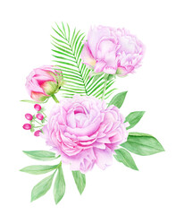 Watercolor  pink peony flowers composition with leaves and berries. 
Botanical illustration isolated on white background.
