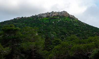 Cedar-covered hills on the Mediterranean coast on the island of Cyprus.