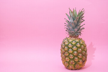 Close up one pineapple isolated on pastel background.