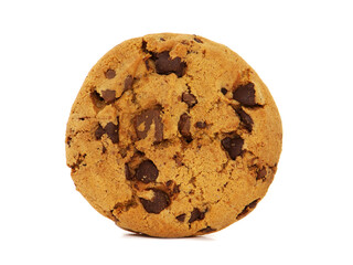 Chocolate chip cookie isolated on white