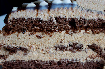 Half of a delicious chocolate cake on a white plate