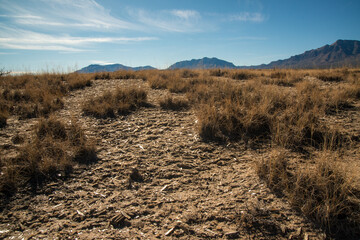 Desert landscape in New Mexico, gypsum crystals at the bottom of a dried lake, Lucero Lake