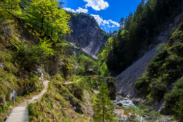 Hiking Trail Beneath Wild Mountain River In Ötschergräben in Austria