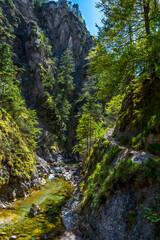 Fototapeta na wymiar Hiking Trail Beneath Wild Mountain River In Ötschergräben in Austria