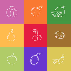 Set of summer healthy fruits in linear style on colorful squares. Pomegranate, orange, watermelon, pear, cherry, kiwi, apple, plum, banana. Organic food.