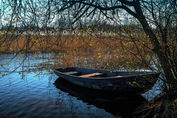 Boat in the reeds at the forest shore