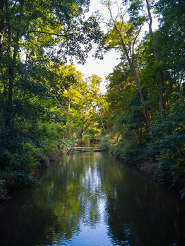 wald bei fluss erft in neuss, deutschland