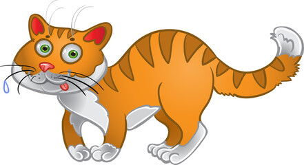 Orange fun cat isolated on a white background