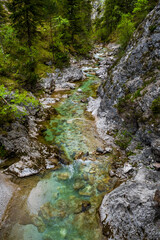 Clear And Wild Mountain River In Green Canyon In Ötschergräben In Austria